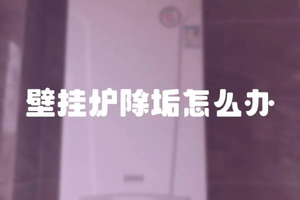 壁掛爐除垢怎么辦