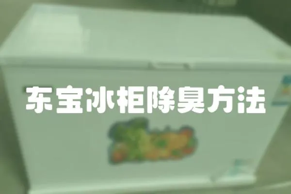 東寶冰柜除臭方法