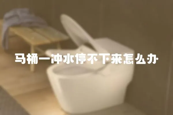 馬桶一沖水停不下來怎么辦