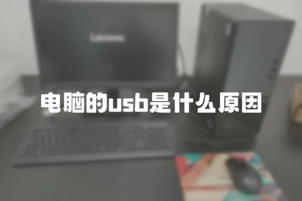 電腦的usb是什么原因
