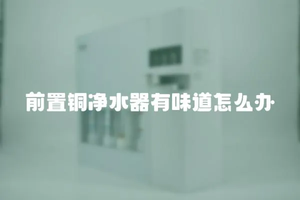 前置銅凈水器有味道怎么辦