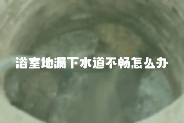 浴室地漏下水道不暢怎么辦