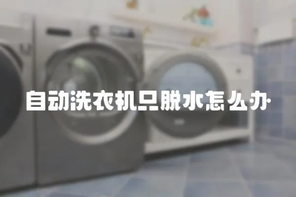 自動洗衣機只脫水怎么辦