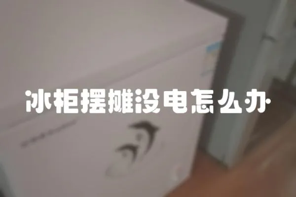 冰柜擺攤沒電怎么辦