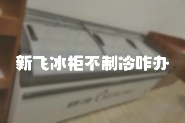 新飛冰柜不制冷咋辦
