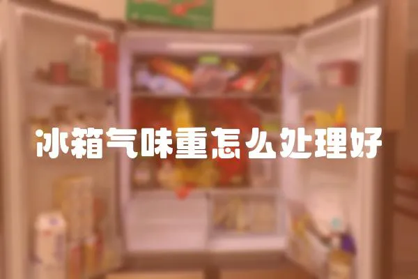 冰箱氣味重怎么處理好