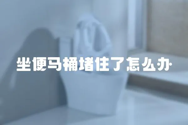 坐便馬桶堵住了怎么辦