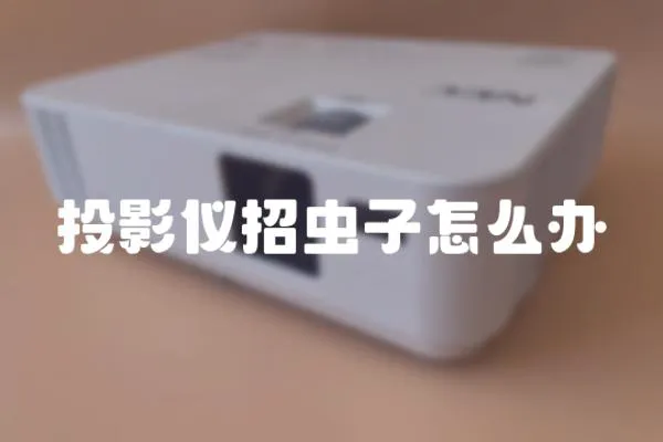 投影儀招蟲子怎么辦