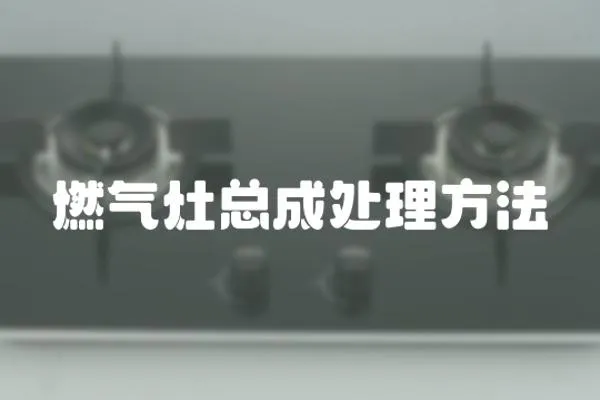 燃?xì)庠羁偝商幚矸椒?></a></div>
                    <div   id=