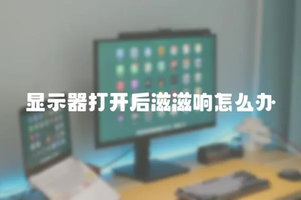 顯示器打開后滋滋響怎么辦
