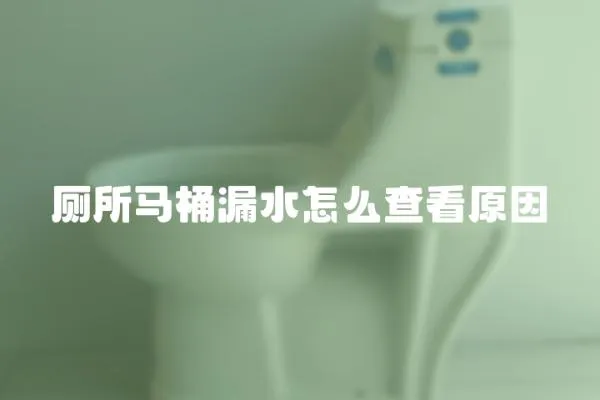 廁所馬桶漏水怎么查看原因