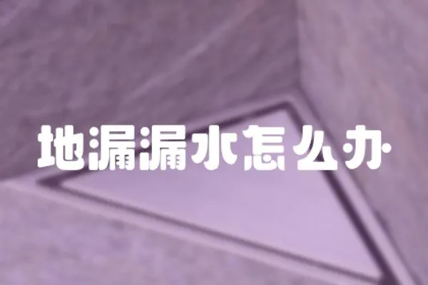地漏漏水怎么辦