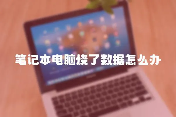筆記本電腦燒了數據怎么辦
