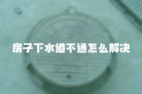 房子下水道不通怎么解決