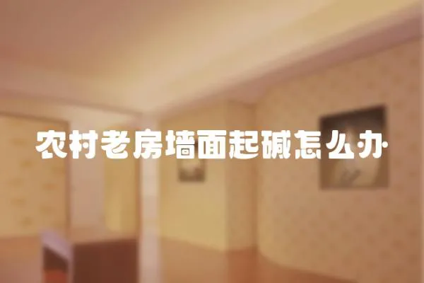 農村老房墻面起堿怎么辦