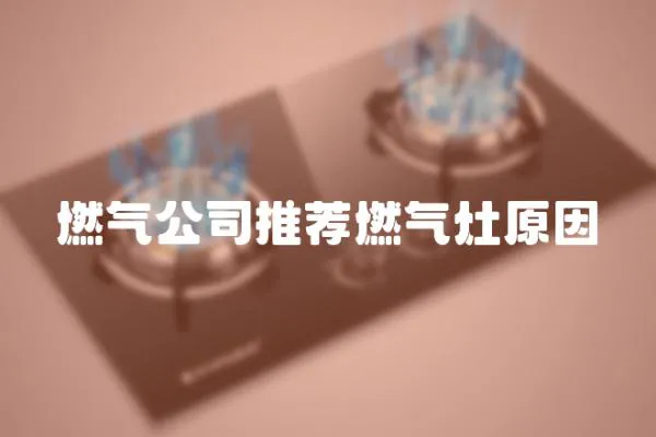 燃氣公司推薦燃氣灶原因