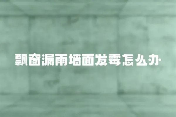 飄窗漏雨墻面發霉怎么辦