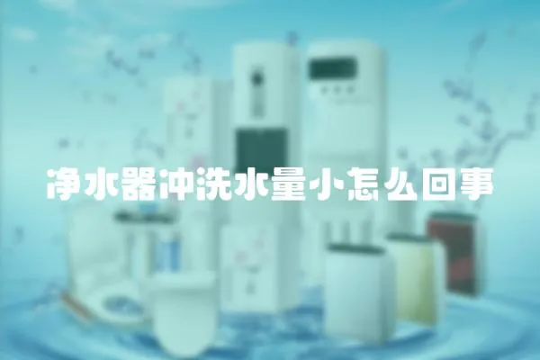 凈水器沖洗水量小怎么回事