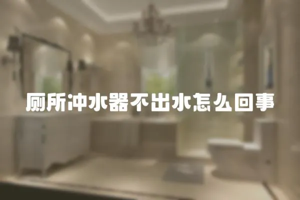 廁所沖水器不出水怎么回事