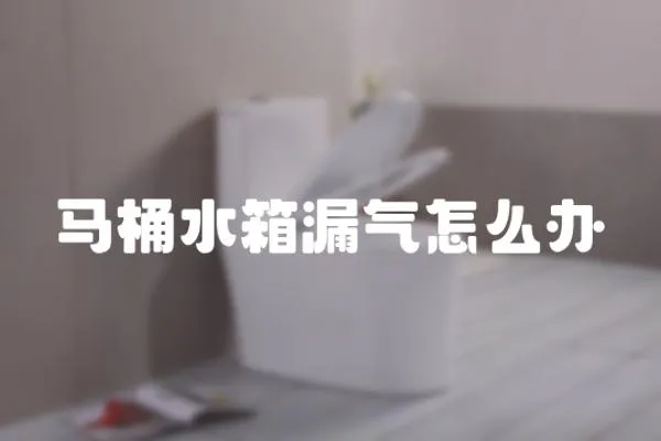 馬桶水箱漏氣怎么辦