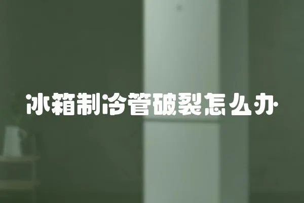 冰箱制冷管破裂怎么辦