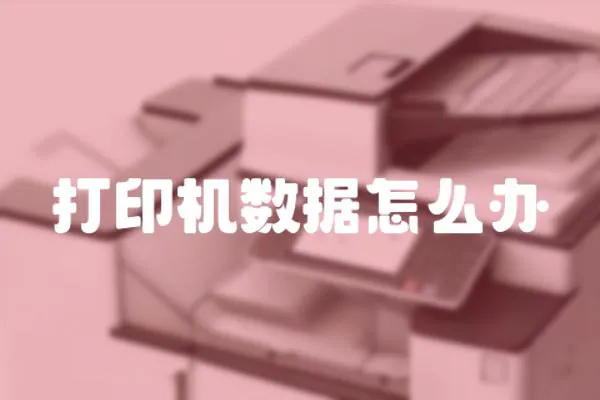 打印機(jī)數(shù)據(jù)怎么辦