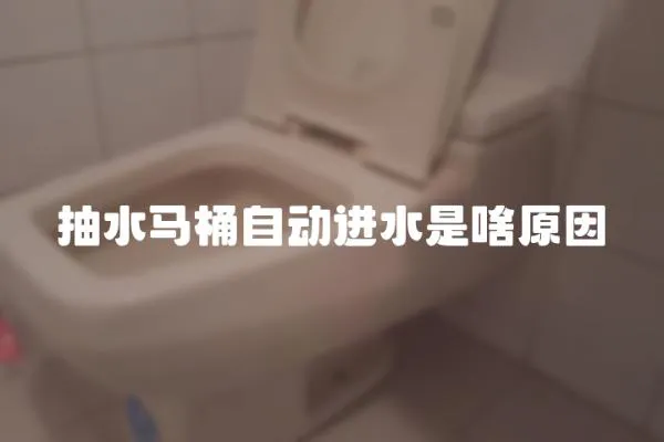 抽水马桶自动进水是啥原因