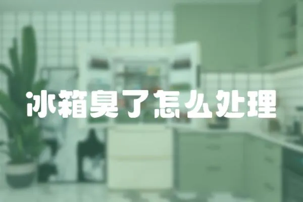 冰箱臭了怎么處理
