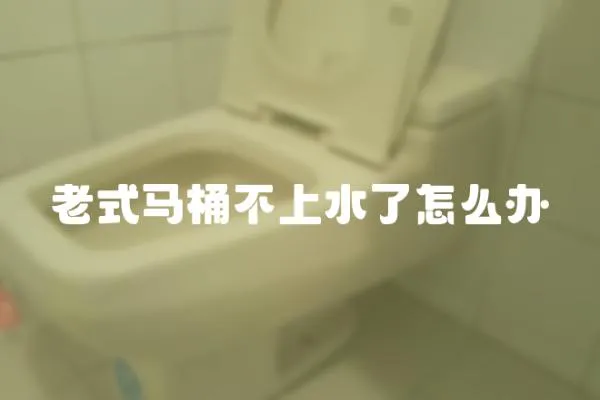 老式馬桶不上水了怎么辦