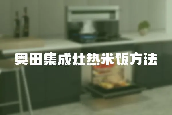 奧田集成灶熱米飯方法