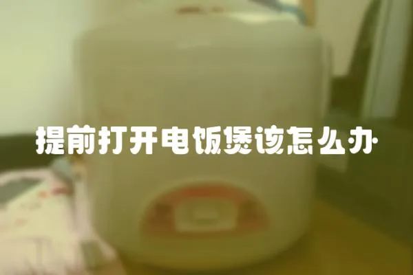 提前打開電飯煲該怎么辦