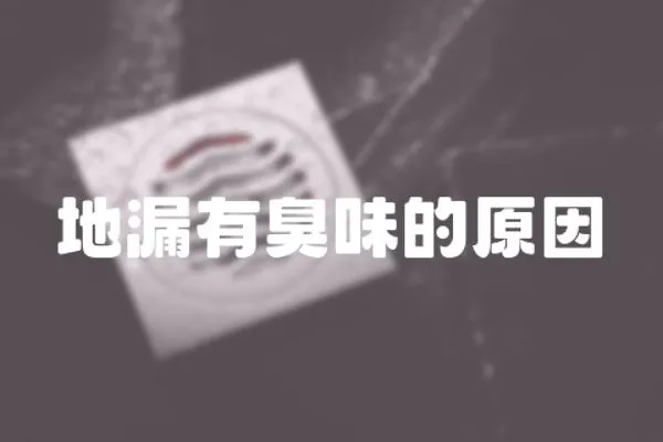 地漏有臭味的原因