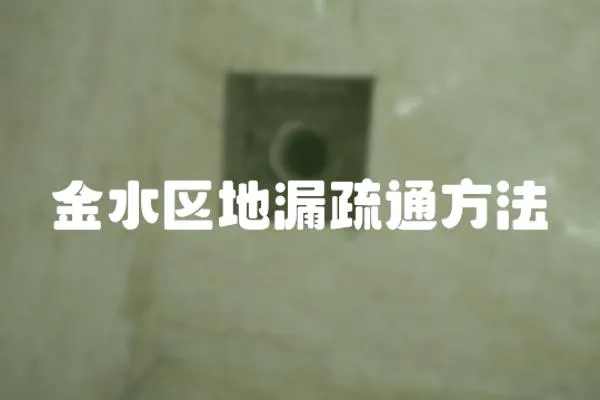 金水區地漏疏通方法