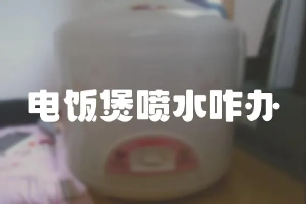 電飯煲噴水咋辦