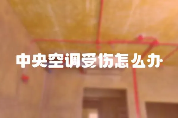 中央空調(diào)受傷怎么辦
