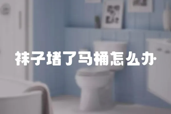 襪子堵了馬桶怎么辦