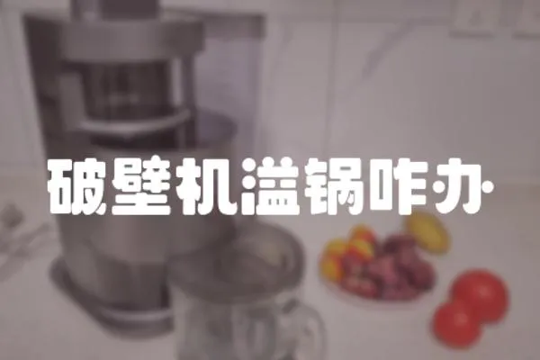 破壁機溢鍋咋辦