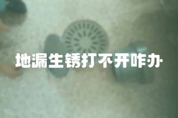 地漏生銹打不開咋辦