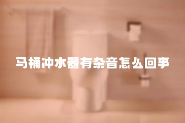 馬桶沖水器有雜音怎么回事