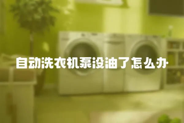 自動洗衣機泵沒油了怎么辦