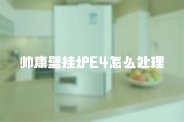帥康壁掛爐E4怎么處理
