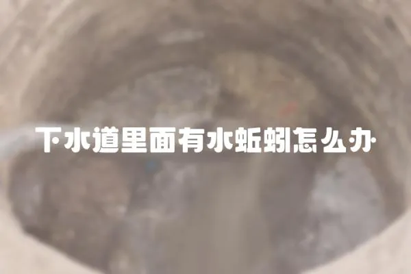 下水道里面有水蚯蚓怎么辦
