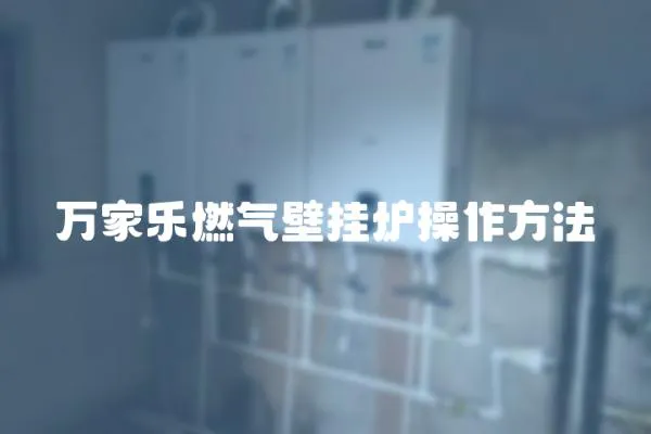 萬家樂燃?xì)獗趻鞝t操作方法