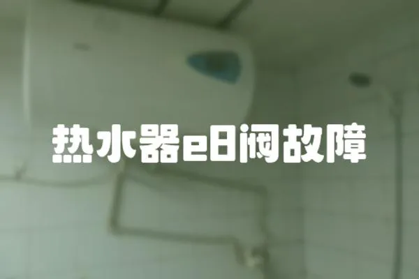 熱水器e8閥故障