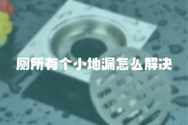 廁所有個小地漏怎么解決