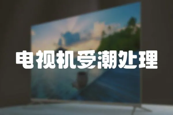 電視機(jī)受潮處理