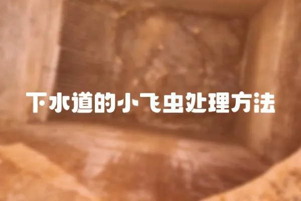 下水道的小飛蟲處理方法