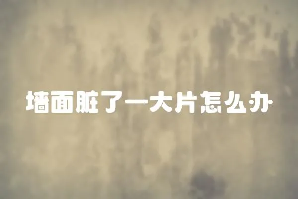 墻面臟了一大片怎么辦