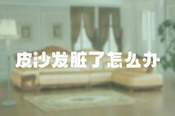 皮沙發臟了怎么辦