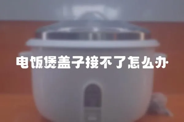 電飯煲蓋子接不了怎么辦